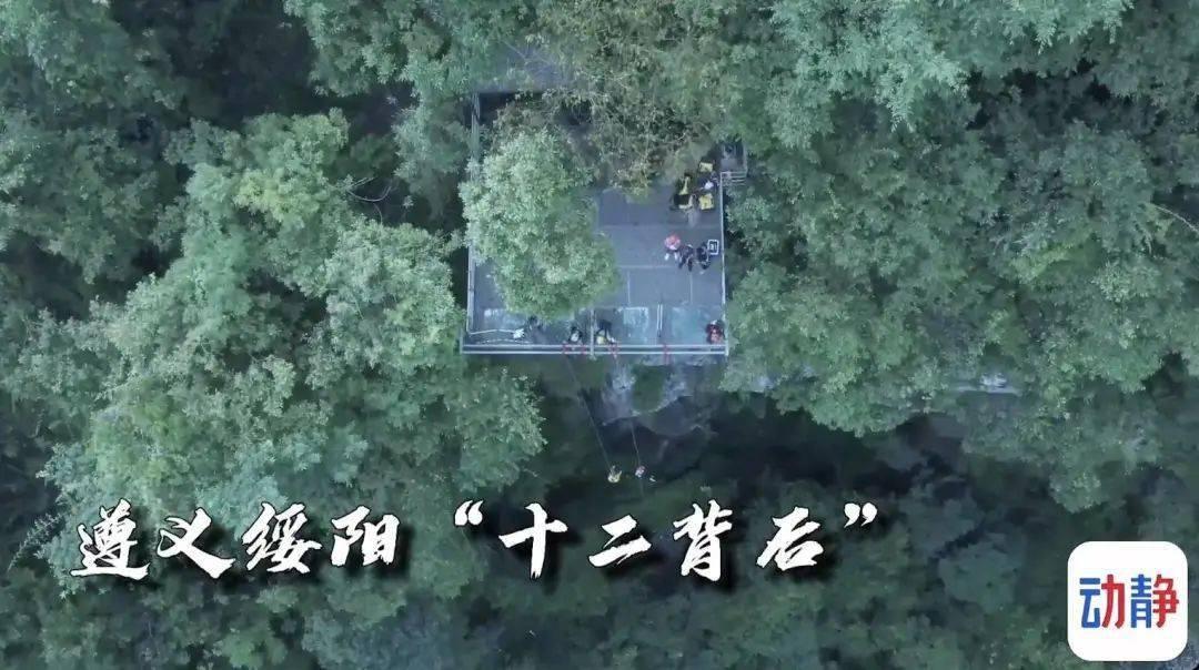 失忆症：黑暗后裔