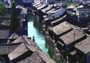 小僵尸射飞鸟